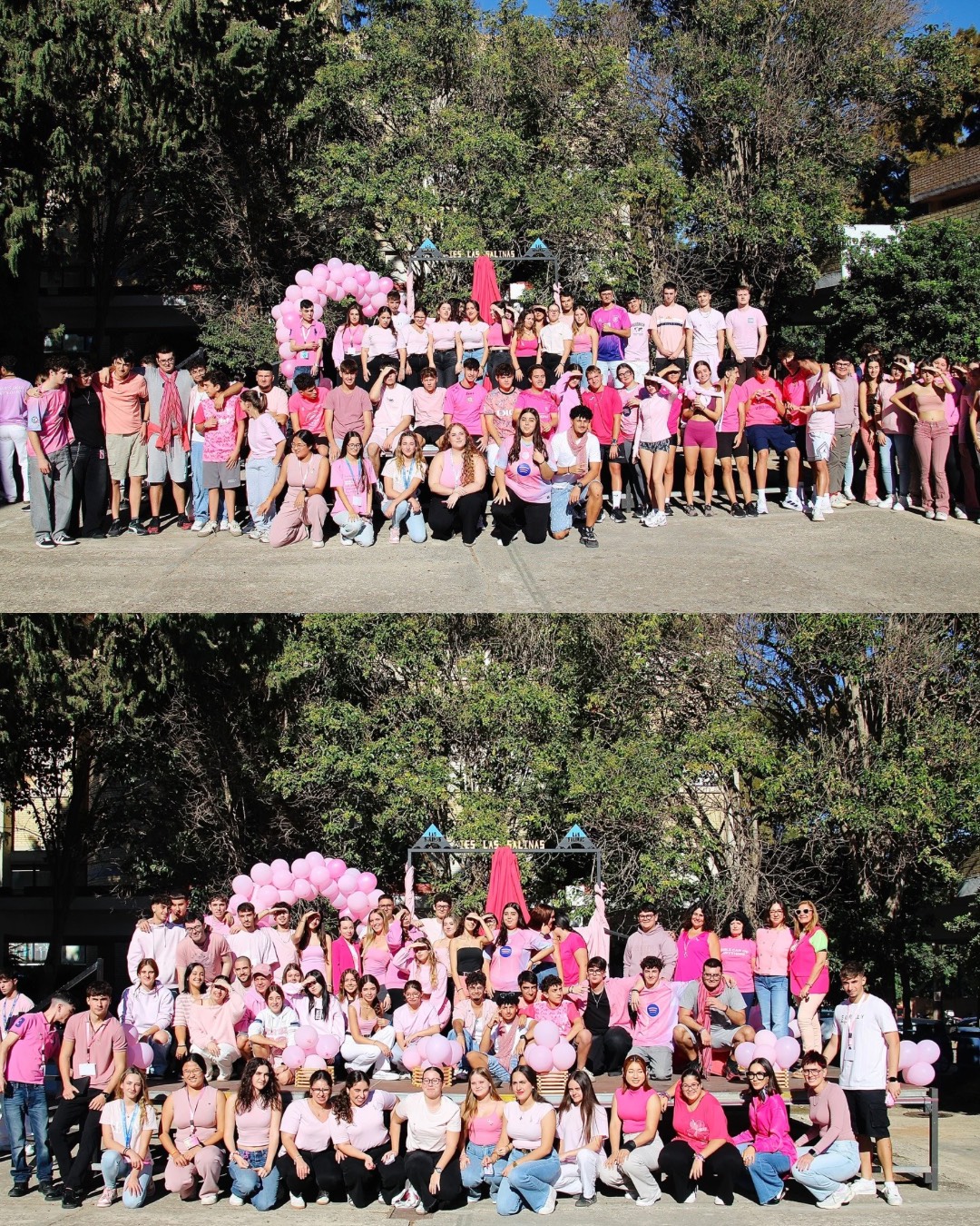 Día Cáncer de Mama IES Las Salinas 2526 1
