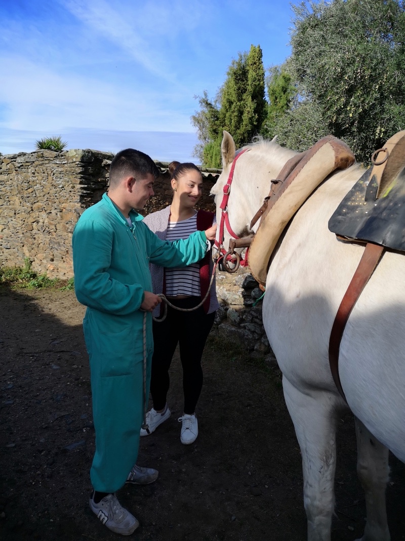 IMG 20191031 102538
