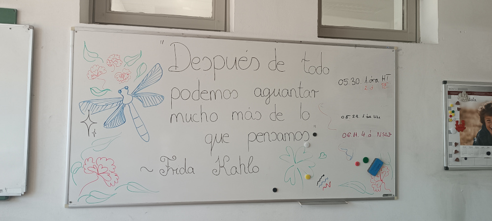 IMG 20240527 104727