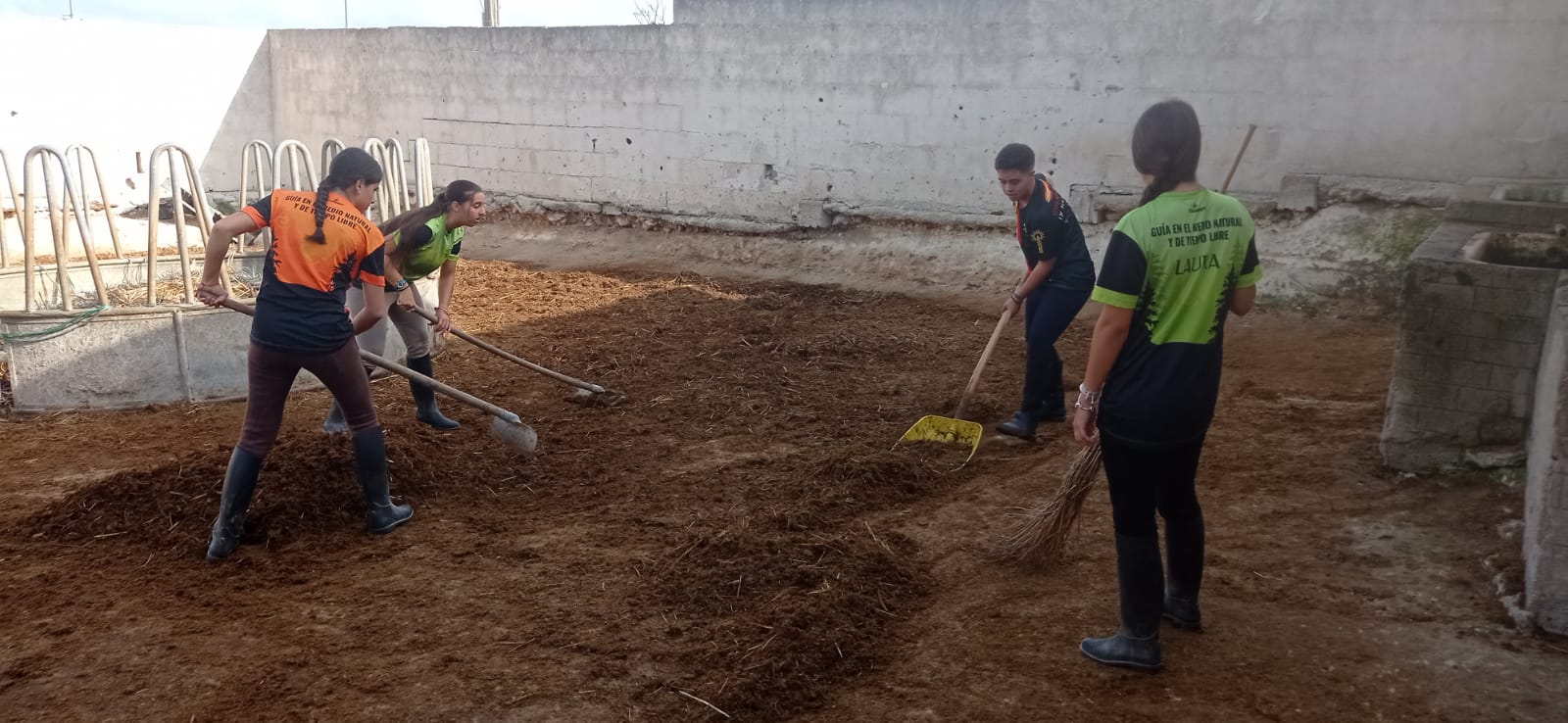 11. Limpiando el paddock