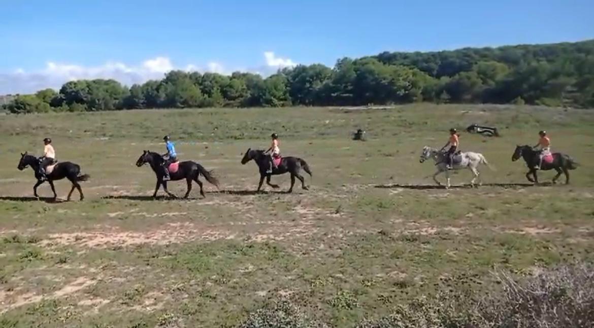 5. Ejercicio con 1 mano a caballo en campo