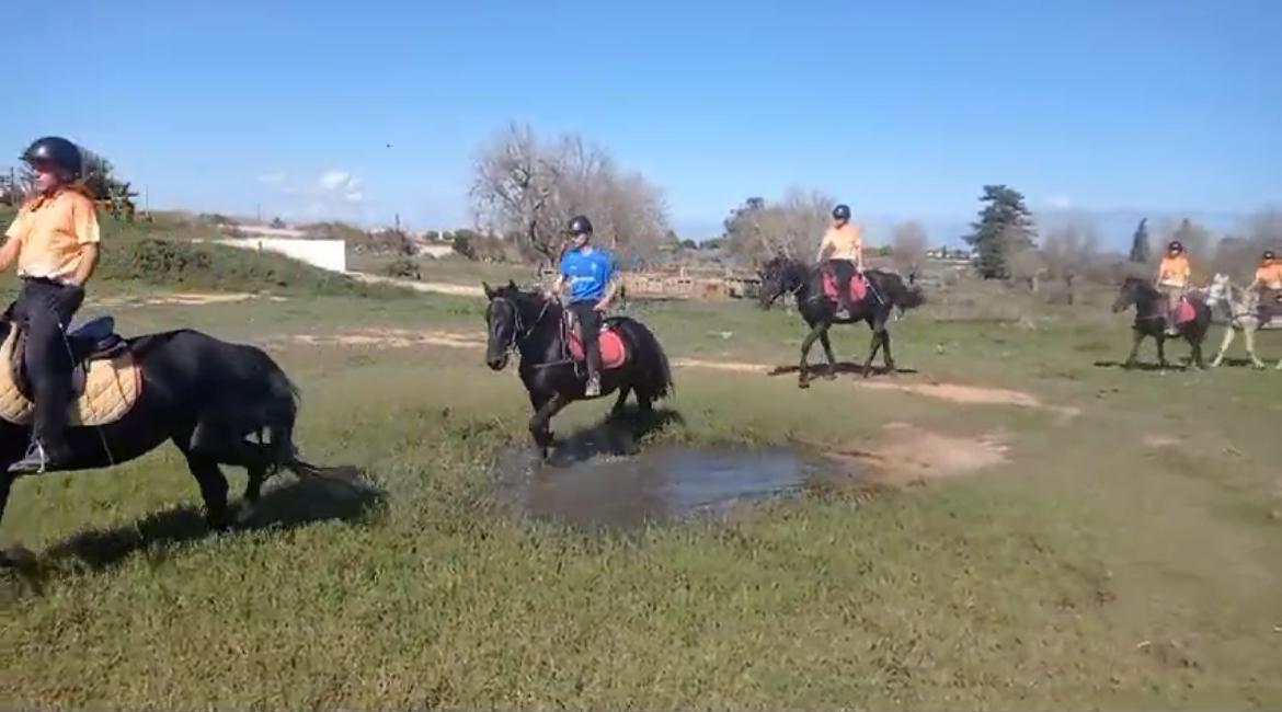 7. Ejercicio por la pista de cross