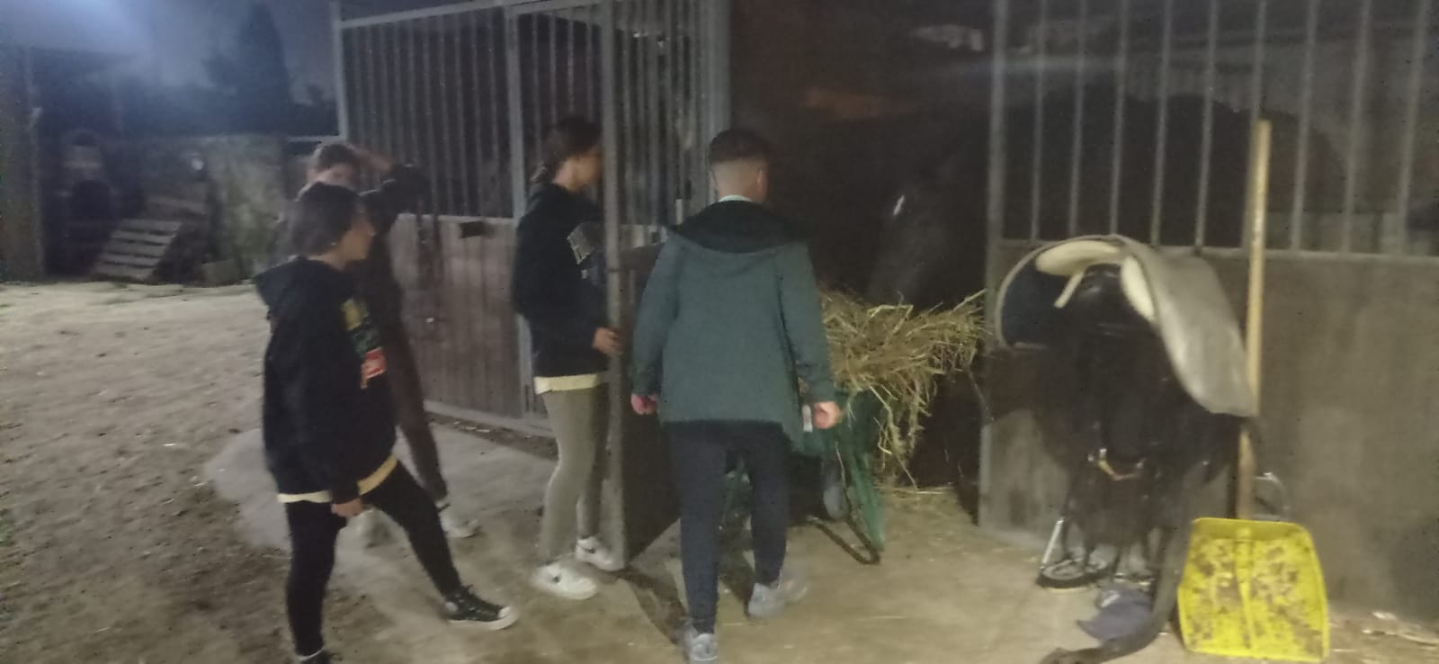 9. Dando de comer a los caballos de boxes