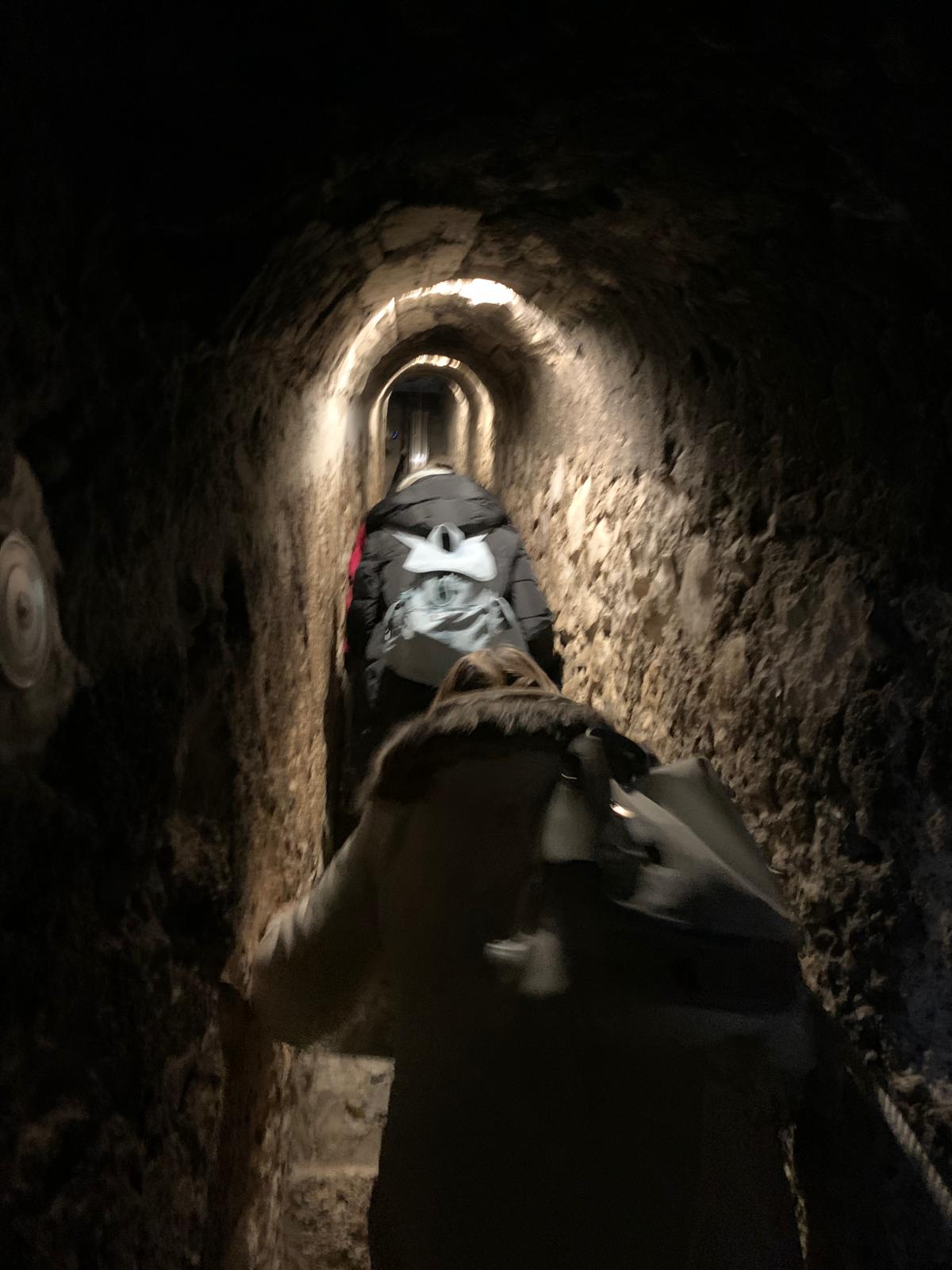 PHOTO 2024 11 15 07 47 54